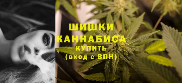 кокс Осташков