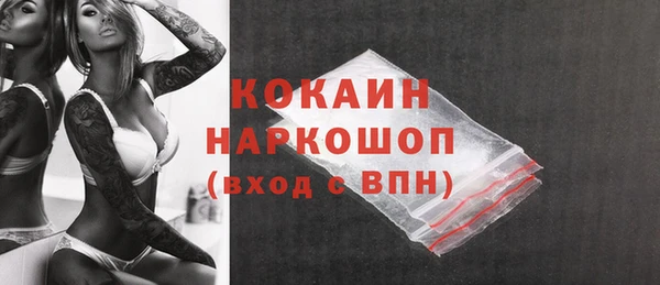 крисы Осинники