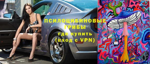 крисы Осинники