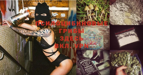 крисы Осинники