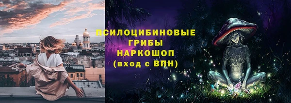 сатива Каменногорск