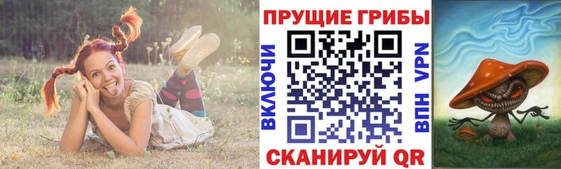 Галлюциногенные грибы MAGIC MUSHROOMS  MEGA онион  Курильск 